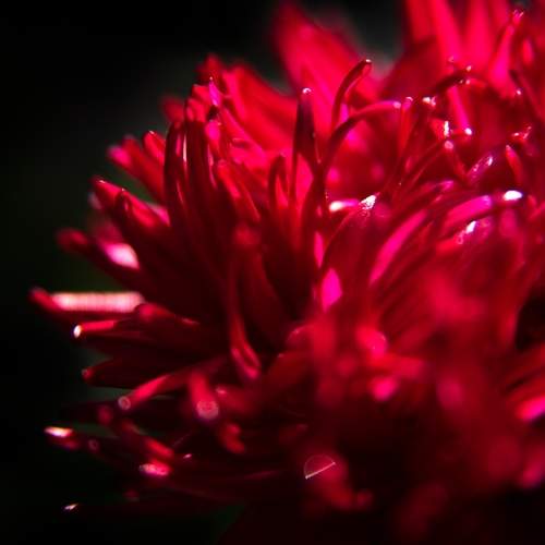 Photo #12484622