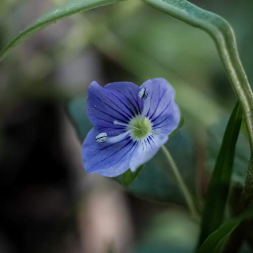 Photo #12484873