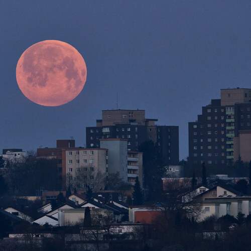 Photo #12484913
