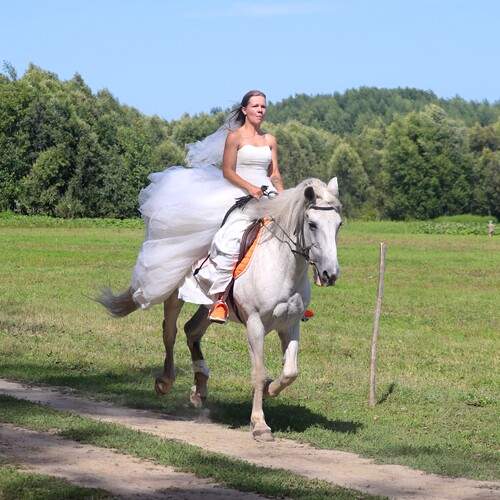 Фотография #12485146