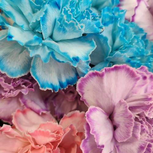 Photo #12485329