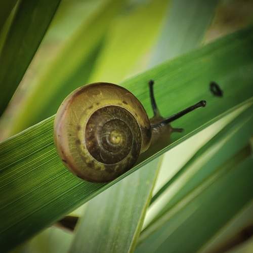 Photo #12485339