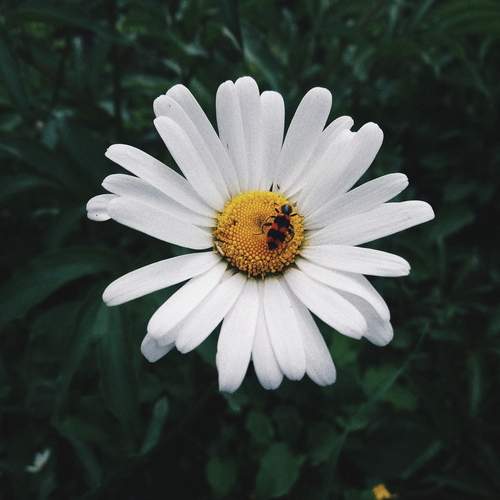 Photo #12485344
