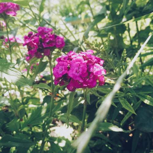 Photo #12485345