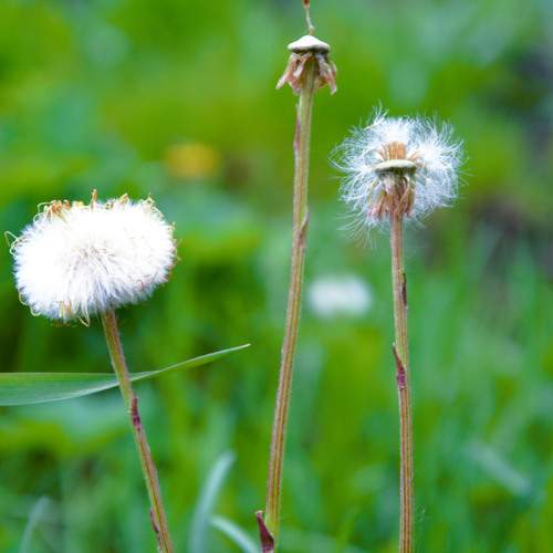 Photo #12485548