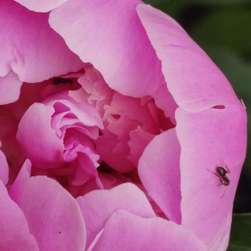 Photo #12485550
