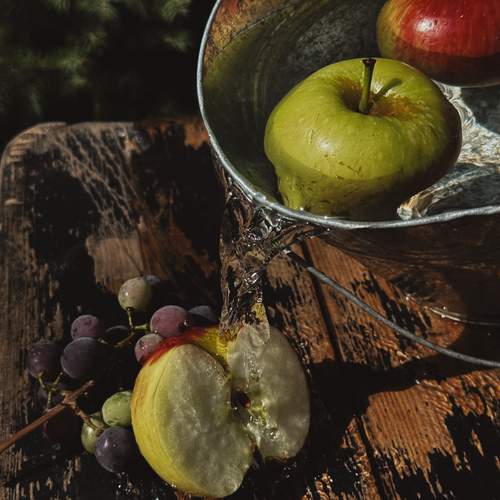 Photo #12485690