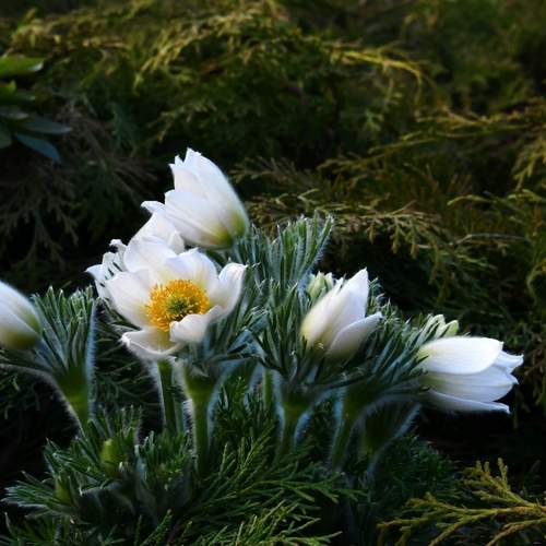 Photo #12485866