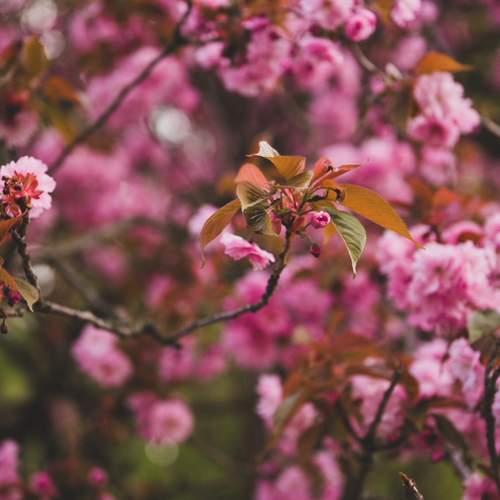 Фотография #12486034