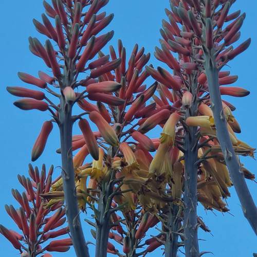 Photo #12486156
