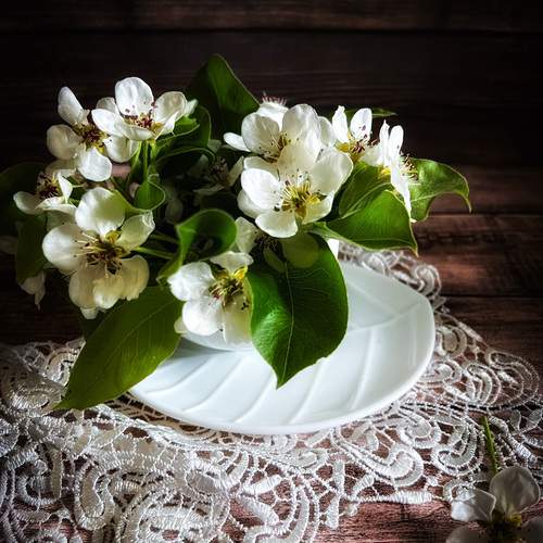 Photo #12486356