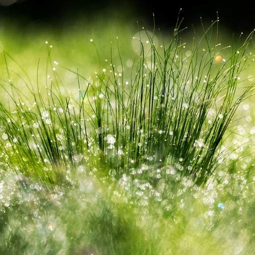 Photo #12486359