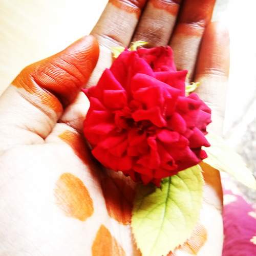 Photo #12486433