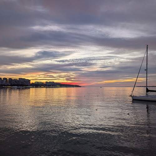 Photo #12486605