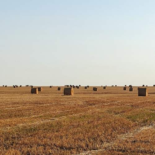 Photo #12486614