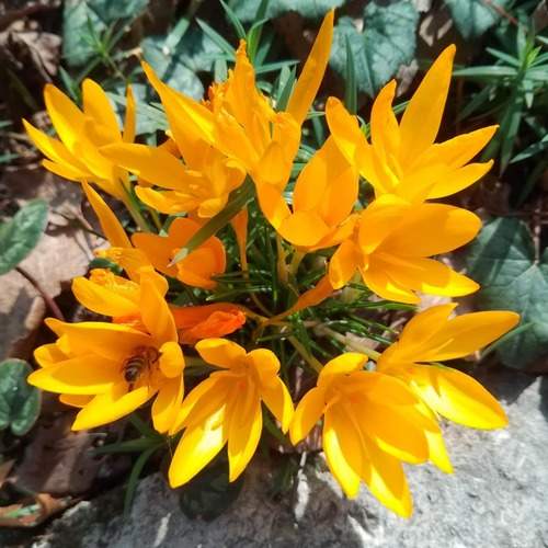 Photo #12486786