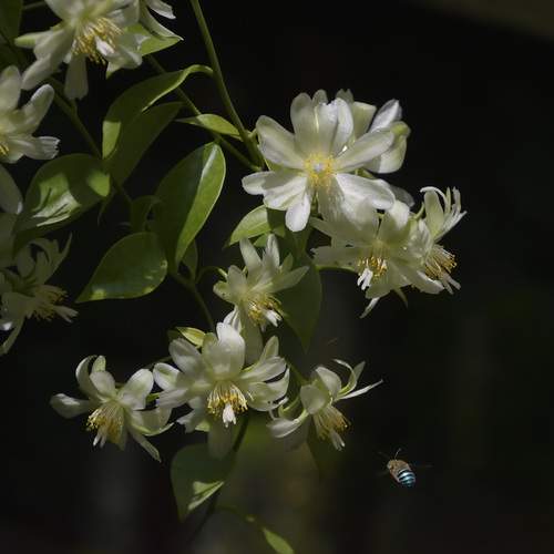Photo #12486907