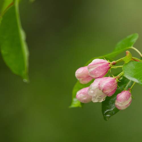 Photo #12487386