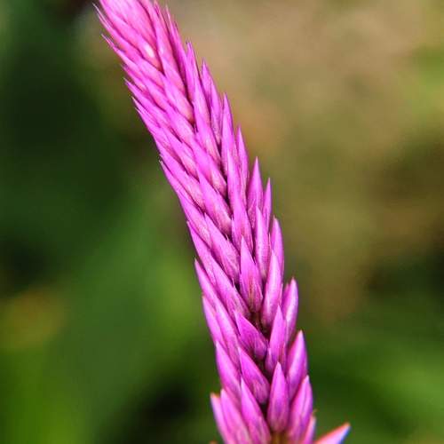 Photo #12487534