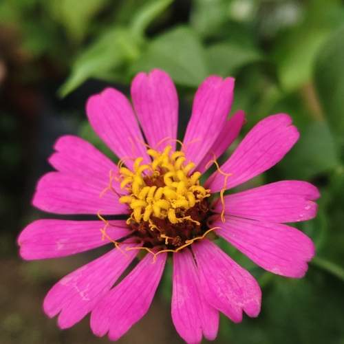 Photo #12487543