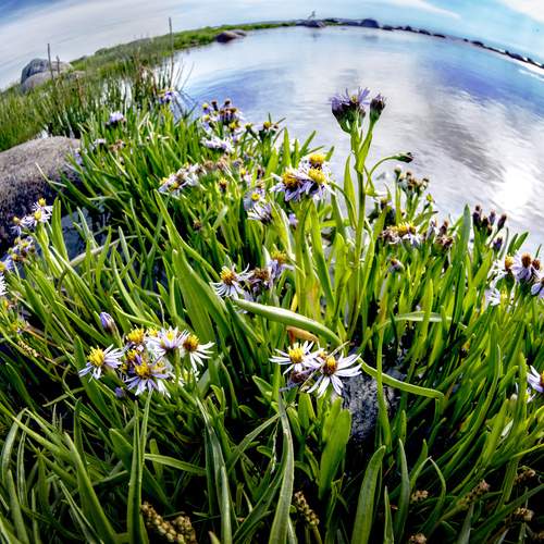 Photo #12487727