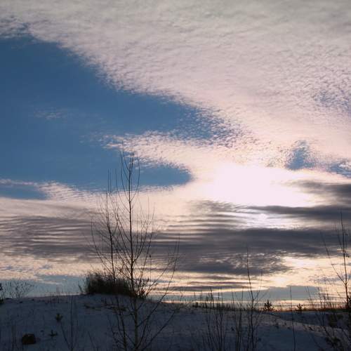 Photo #12487747