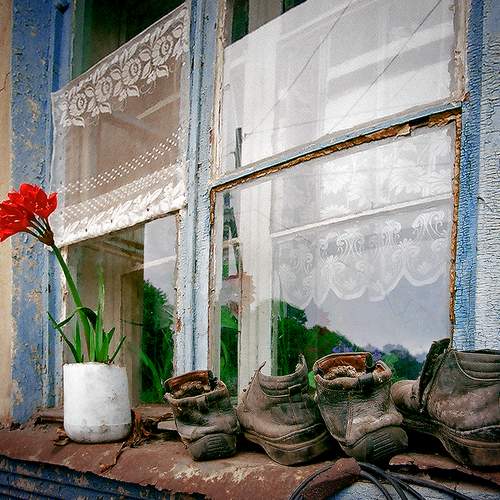 Photo #12487760