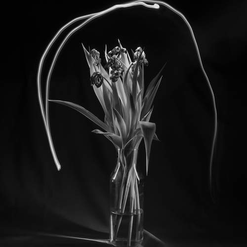 Фотография #12487780