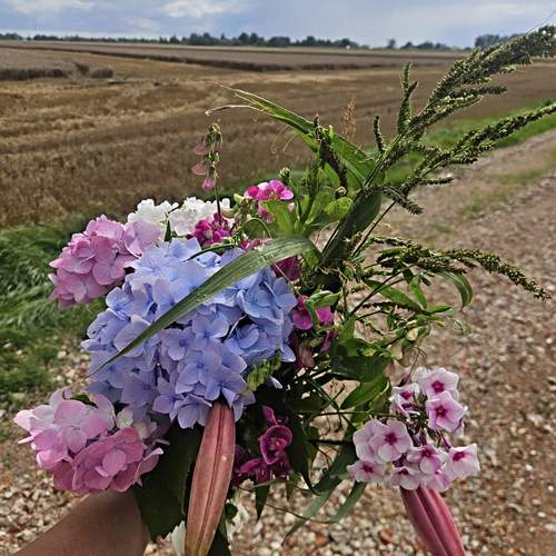 Photo #12487784
