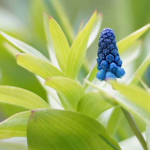 Photo #12487986