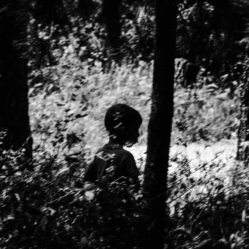 Photo #12488073