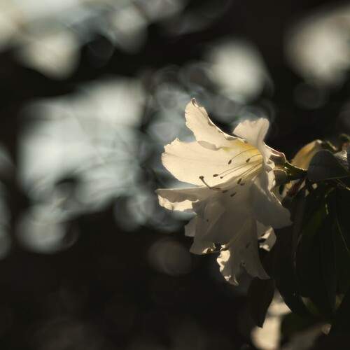 Photo #12488095