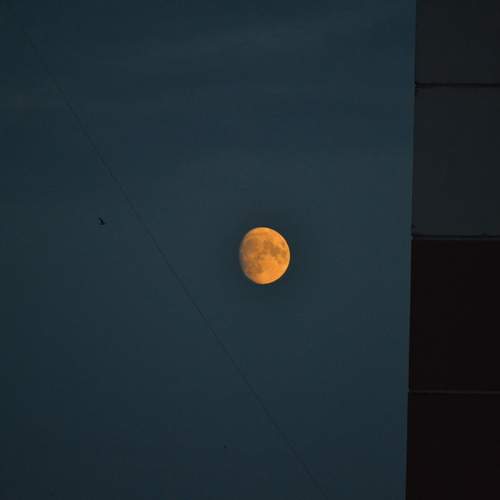 Photo #12488217
