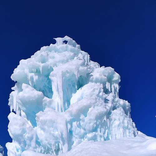 Photo #12488243