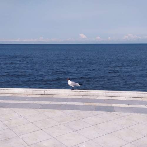 Photo #12488312