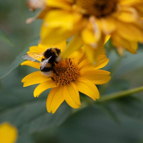 Photo #12488321