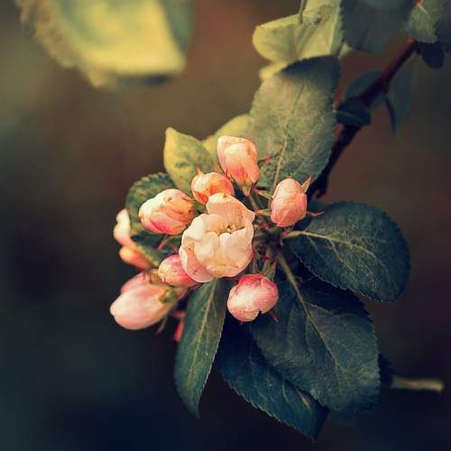 Photo #12488408