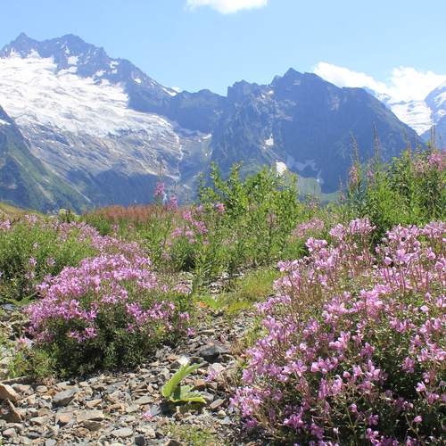 Photo #12488683