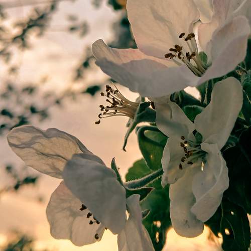 Photo #12489020