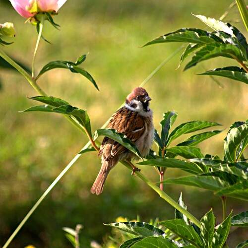 Photo #12489060