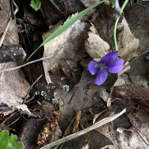 Фотография #12489110