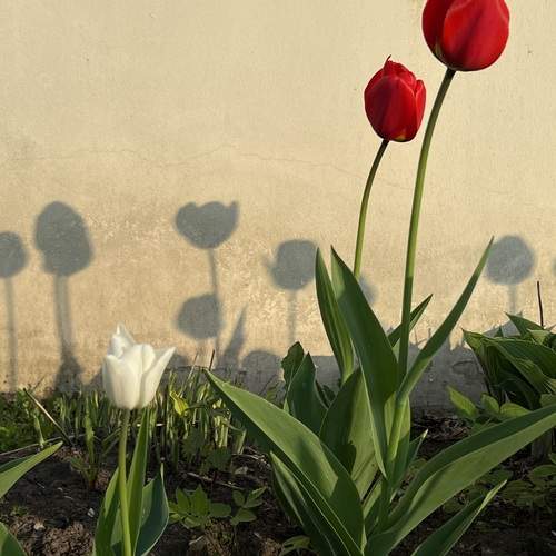 Фотография #12489112