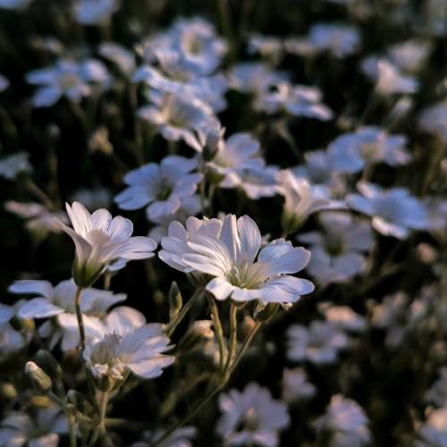 Photo #12489183