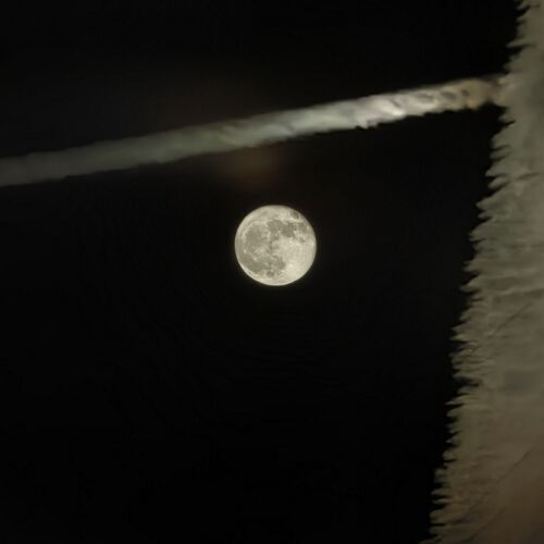 Photo #12489221
