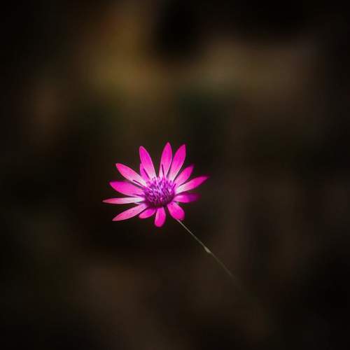 Photo #12489428