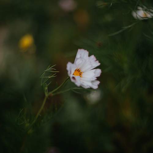 Photo #12489545