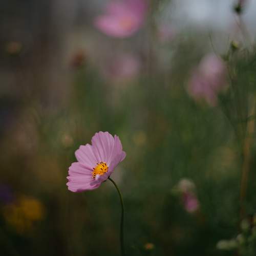 Photo #12489546