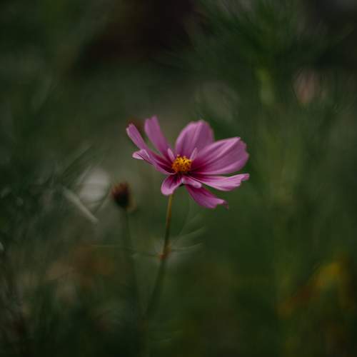 Photo #12489547