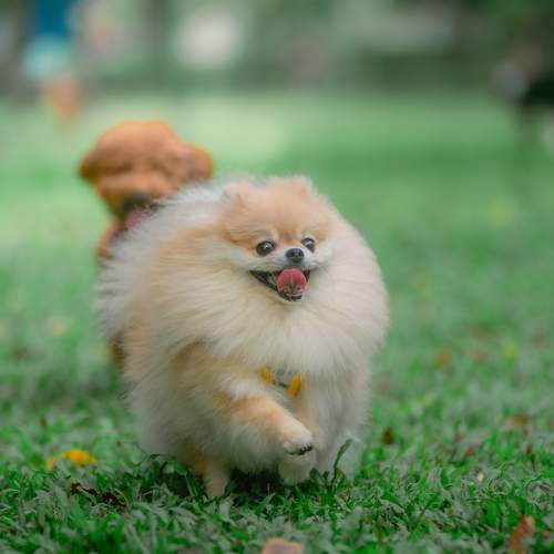 Photo #12489613