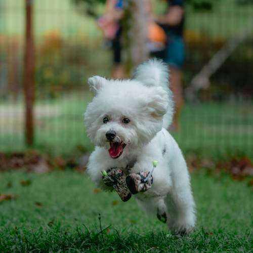Photo #12489629